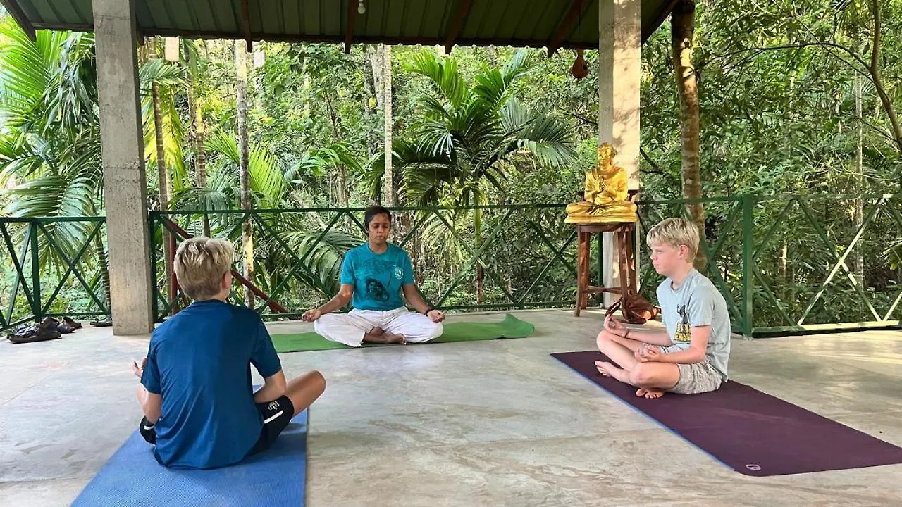 Kandy Eco Retreat 0*,